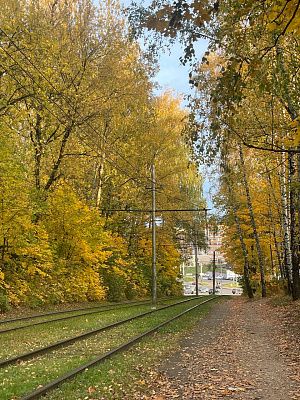Осенний пейзаж