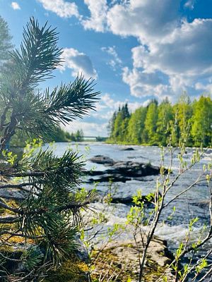 Река Тунтсайоки