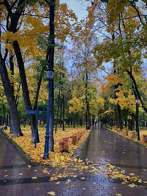 Красота Смоленска 