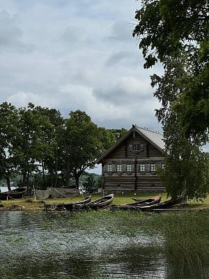 Родное село