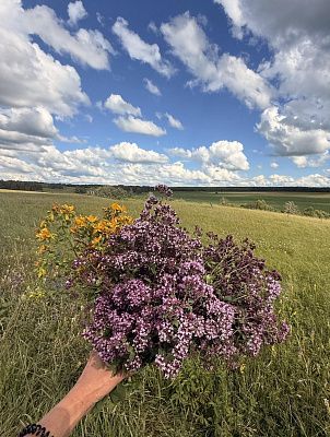 "Красота родного края"
