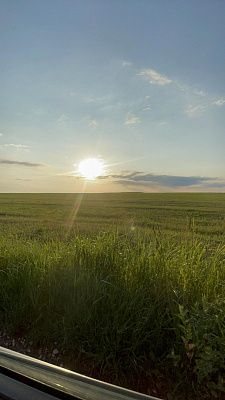 Поля Смоленщины.