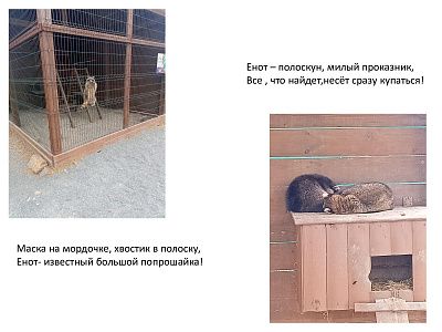 Мир за ограждением