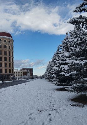 Зимняя сказка в университете 
