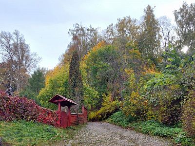 Золотая осень в Плёсе