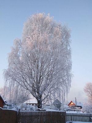 Север.