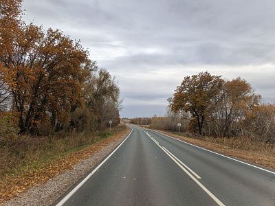 Дорога домой