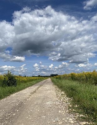 Русская дорога