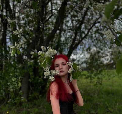 Черемуха в цвету