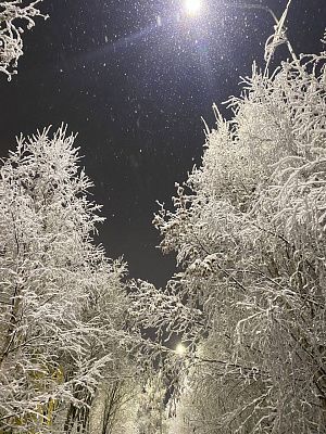 Волшебное начало зимы
