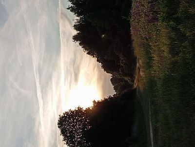 Закат в листве