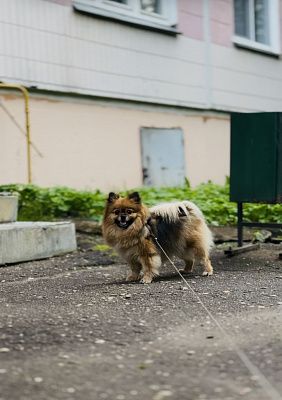 Прогулка 