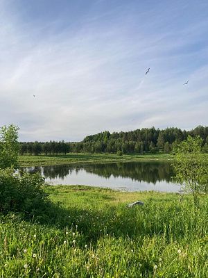 тишина и покой/место силы