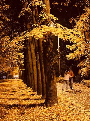 Влюбленная пара