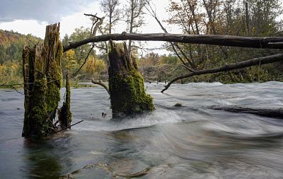 Власть течения