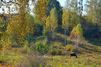 Осень в деревне