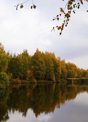 Во владении осени