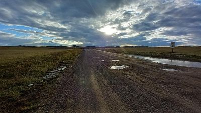 Родные просторы