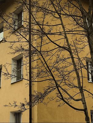 Контраст городской жизни