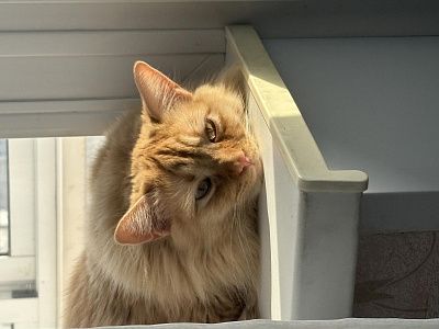 Отдыхает после работы 
