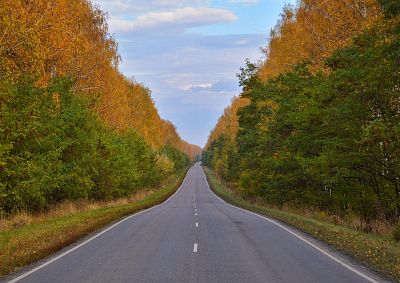 Дорога в осень
