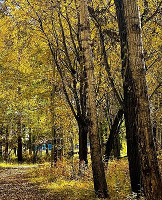 Краски осени в Парке отдыха г. Закаменск 