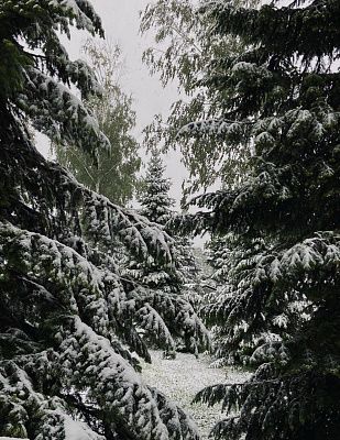 Мой Алтайский край