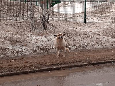 Наелся и счастлив