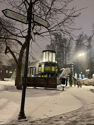 Снегопад из сказки о принцессах