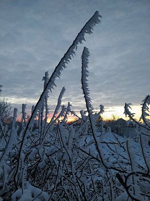 Морозный рассвет