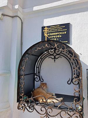 Рыжий