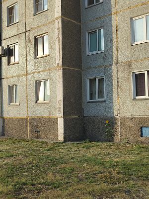 Луч солнца