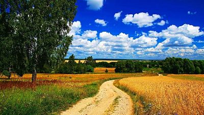Моменты тишины и красоты