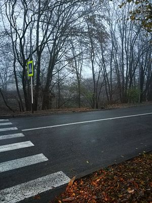 Осеннее утро