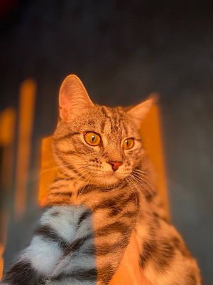 Лучик солнца
