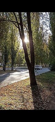 Восход на аллее.