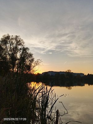 За что люблю родину 