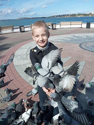 Голуби