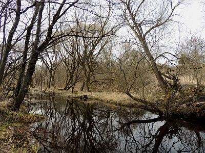 В деревне