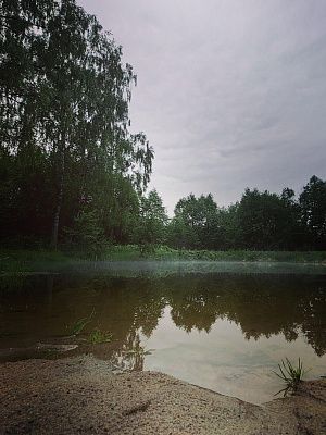Утро в деревне