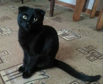 Василий, очень приятно, здравствуйте, Василий…