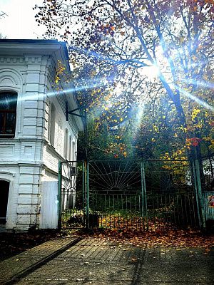 Золотая осень в Плёсе