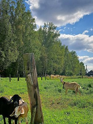 Обратная сторона мегаполиса