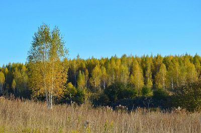 Осенние зарисовки