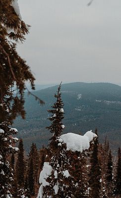 В одиночестве