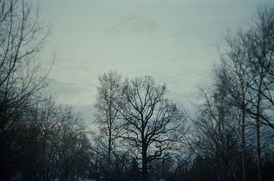 Февральские сумерки 