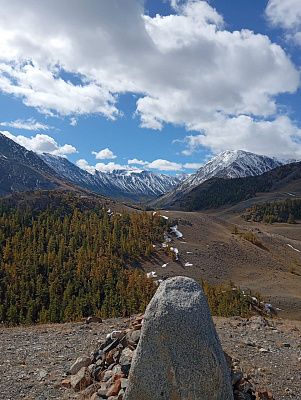 Природа Алтая, жизнь 
