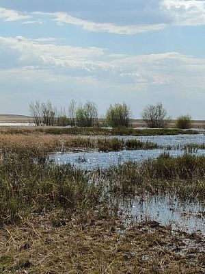 Водные глади родного района