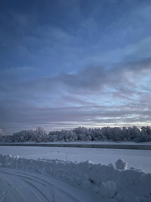 Живи деревня….