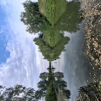 Тихая гавань 